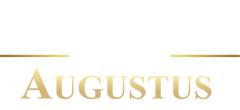 Augustus International Enterprises